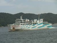 Medium_r0012729[1]